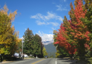 Mt. Shasta adorned with new snow, framed by a blaze of color.